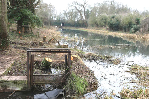 Remains of the open concrete chamber protecting the inlet to Hoffmann's water pipe 2018. (CCT)